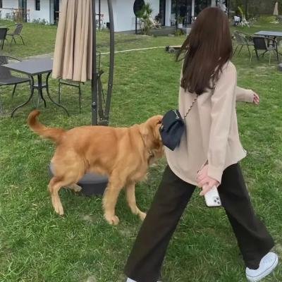 一起入魔